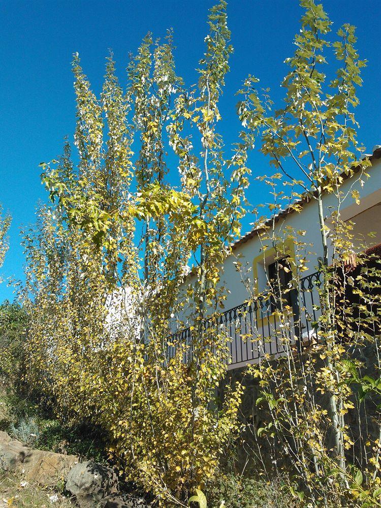 Casas Do Palheiro Velho Pensionat Castro Marim Eksteriør billede